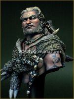 Celtic Warrior
